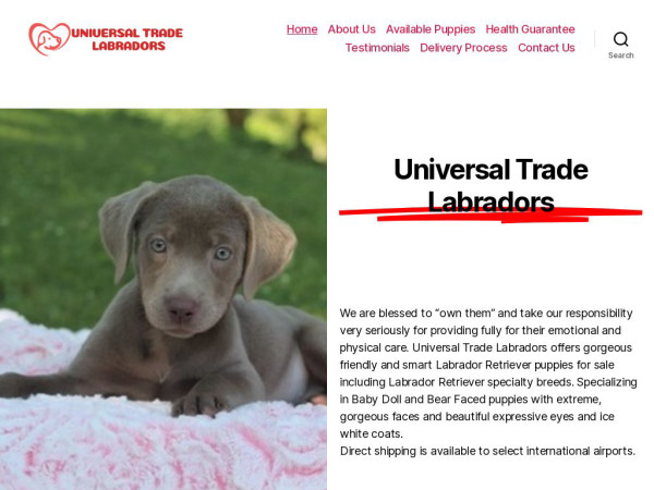 Universaltradelabradors.com - Labrador Puppy Scam Review