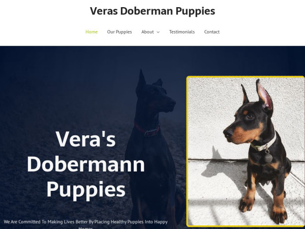 Verasdobermannpuppies.com - Doberman Pinscher Puppy Scam Review