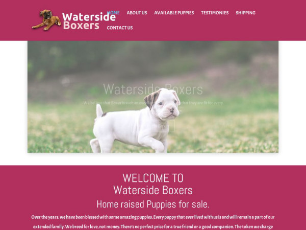 Watersideboxers.com - Boxer Puppy Scam Review