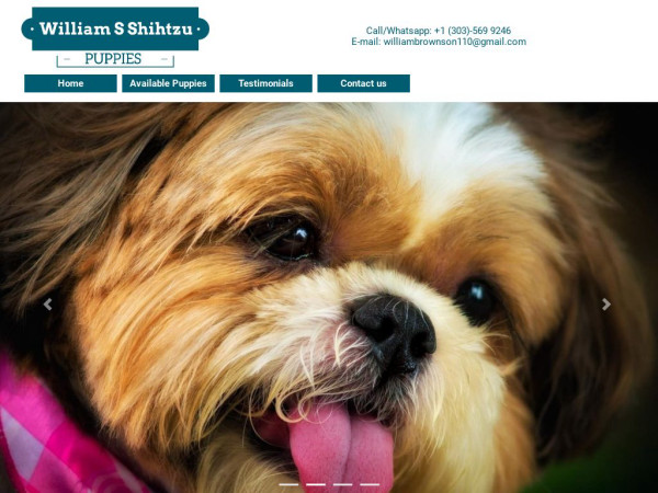 Willamsshihtzupuppies.com - Shihtzu Puppy Scam Review