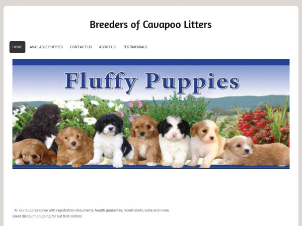 Woodlandcavapoolitters.com - Cavapoo Puppy Scam Review