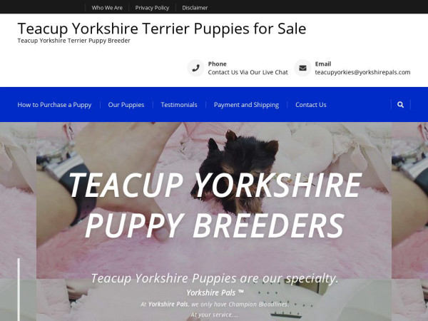 Yorkshirepals.com - Terrier Puppy Scam Review