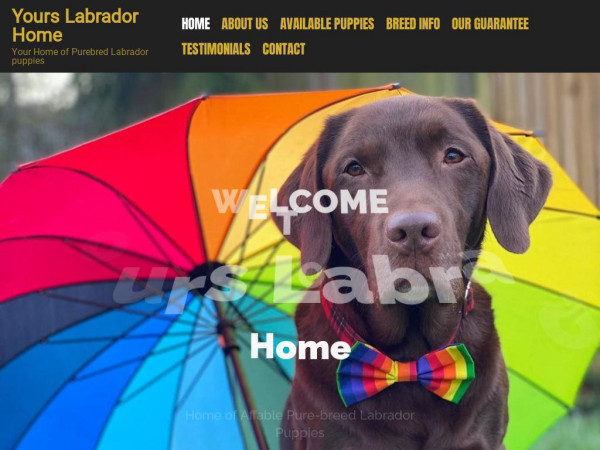 Yourslabradorhome.com - Labrador Puppy Scam Review