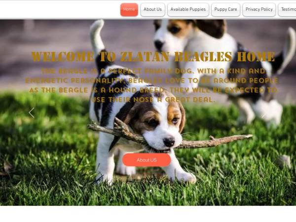 Zlatanbeagleshome.com - Beagle Puppy Scam Review