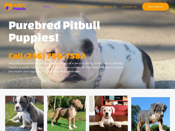 Abkcpitbulls.com - Pit Bull Puppy Scam Review