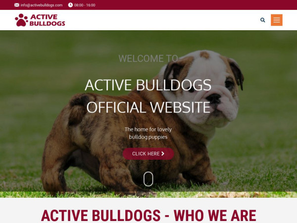 Activebulldogs.com - English Bulldog Puppy Scam Review