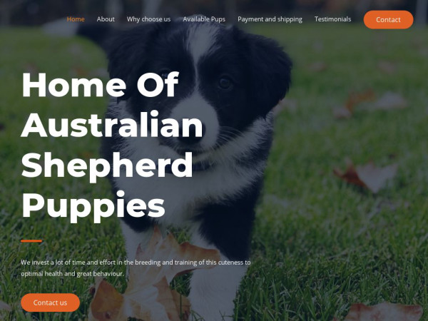 Adorableaussipups.com - Australian Shepherd Puppy Scam Review