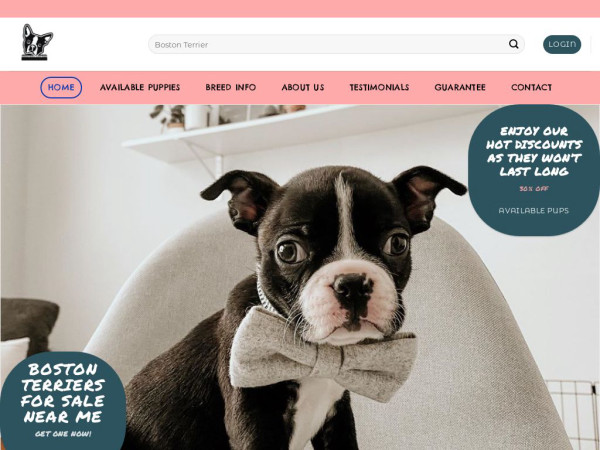 Adorablebostonterrier.com - Terrier Puppy Scam Review