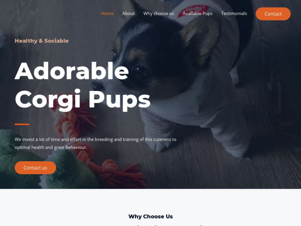 Adorablecorgipups.com - Corgi Puppy Scam Review