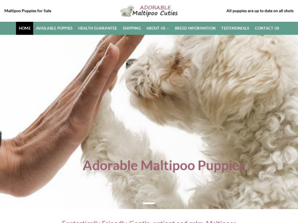 Adorablemaltipoocuties.com - Maltipoo Puppy Scam Review