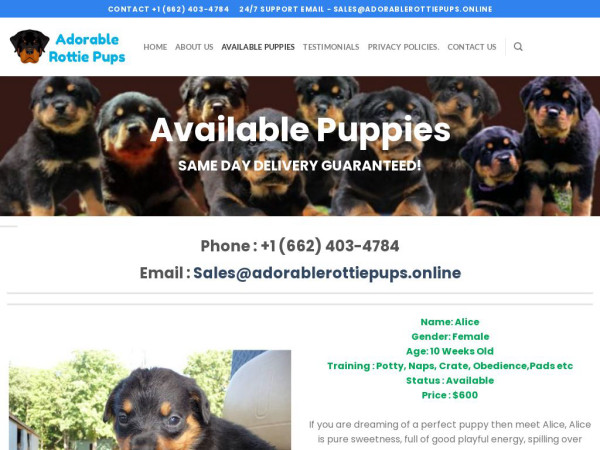 Adorablerottiepups.online - Rottweiler Puppy Scam Review