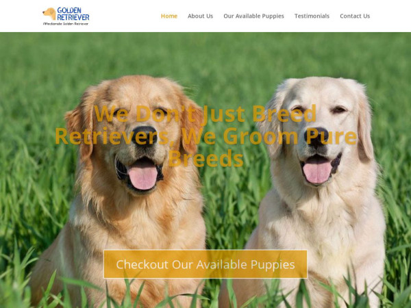 Affectionategoldenretriever.com - Golden Retriever Puppy Scam Review