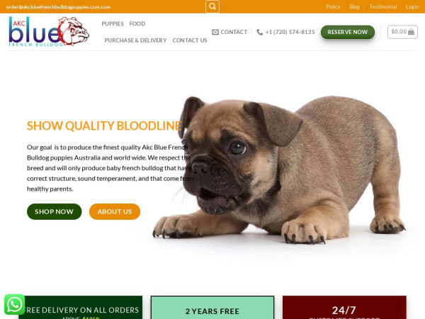 Akcbluefrenchbulldogpuppies.com - French Bulldog Puppy Scam Review