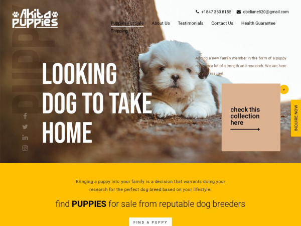 Akitapuppies4sale.com - Akita Puppy Scam Review