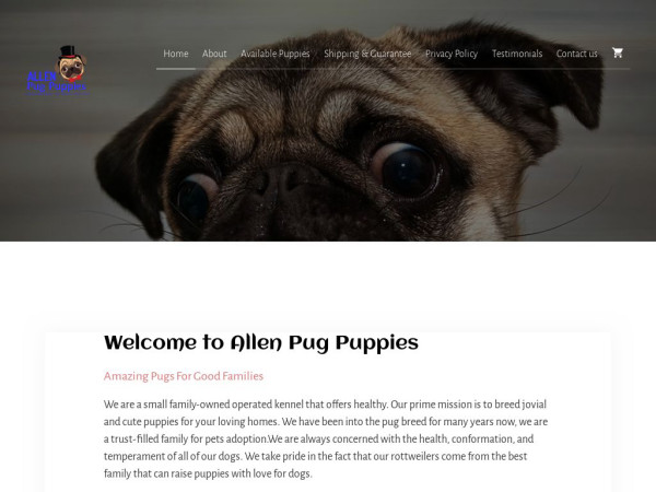 Allenamazingpugpuppies.com - Pug Puppy Scam Review