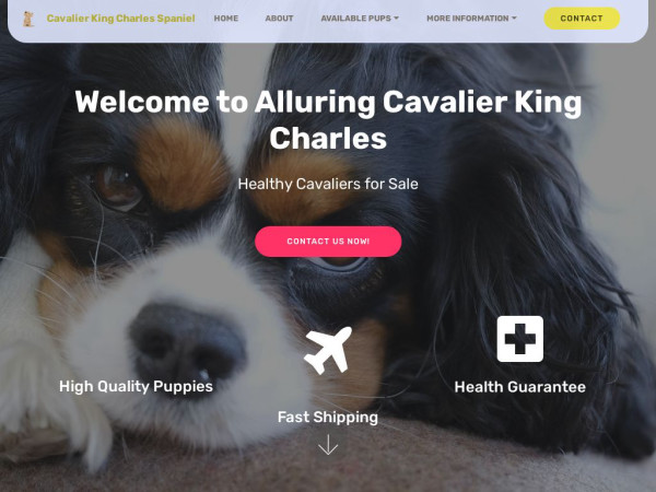 Alluringcavalierkingcharleshome.com - Cavalier King Charles Spaniel Puppy Scam Review