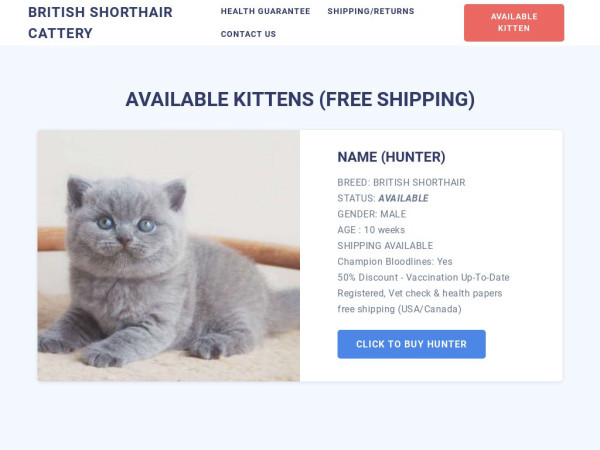 Amazingbritishshorthair.com - British Shorthair Puppy Scam Review