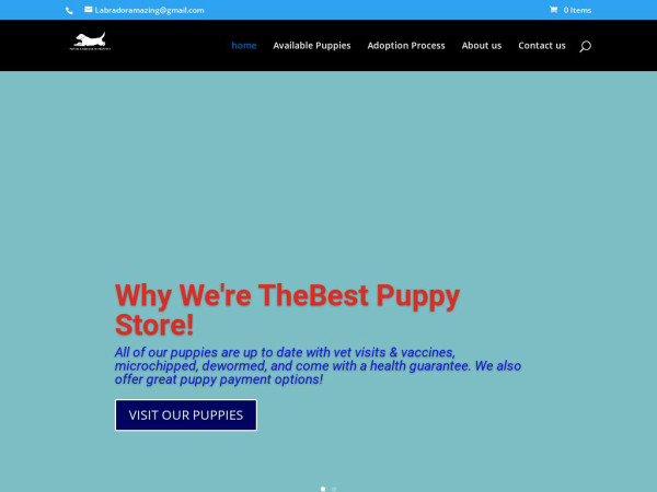 Amazinglabradorpuppies.com - Labrador Puppy Scam Review