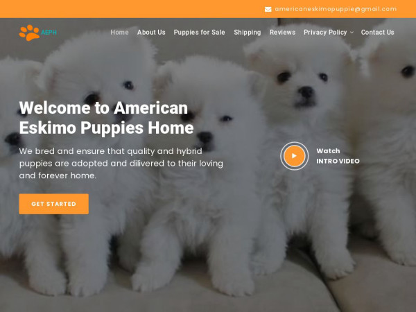 Americaneskimopuppy.com - Husky Puppy Scam Review