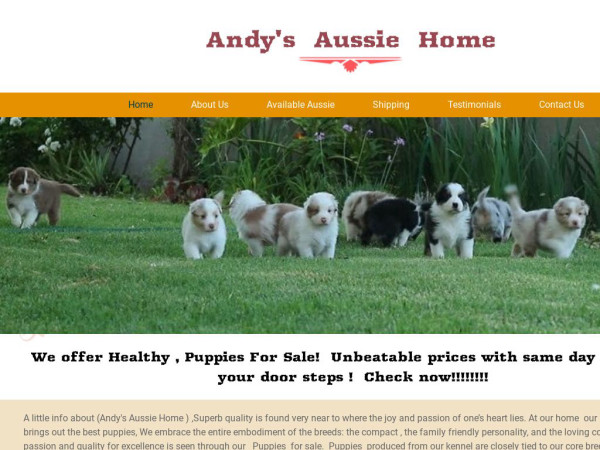 Andysaussiehome.com - Australian Shepherd Puppy Scam Review