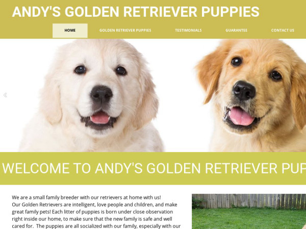 Andysgoldenretriever.com - Golden Retriever Puppy Scam Review