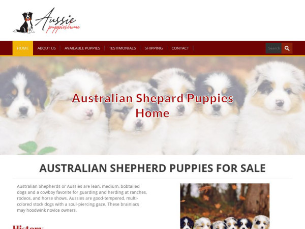 Aussiepuppieshome.com - Australian Shepherd Puppy Scam Review