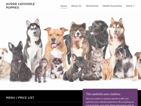 Aussycavoodlepuppies.com - Cavapoo Puppy Scam Review