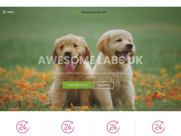 Awesomelabsuk.com - Labrador Puppy Scam Review