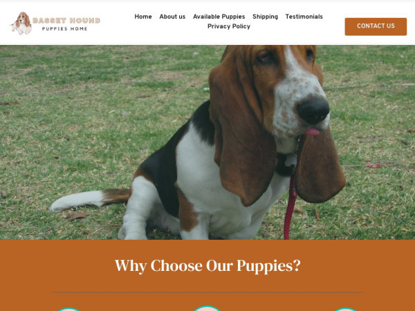 Bassethoundpupshome.com - Bassethound Puppy Scam Review