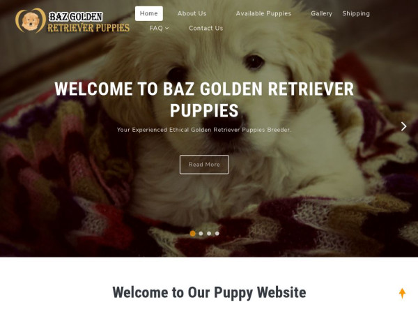 Bazgoldenretrieverpups.com - Golden Retriever Puppy Scam Review