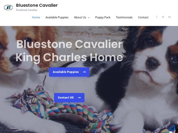 Bcavalier.com - Cavalier King Charles Spaniel Puppy Scam Review