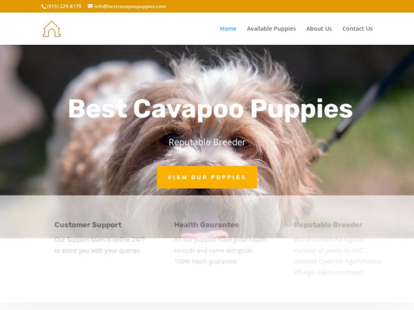 Bestcavapoopuppies.com - Cavapoo Puppy Scam Review