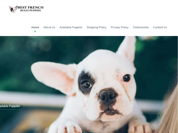 Bestfrenchbullypupies.com - French Bulldog Puppy Scam Review