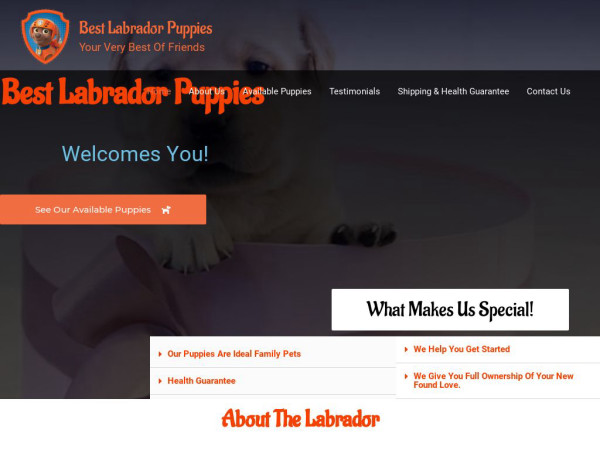 Bestlabradorpupsforsale.com - Labrador Puppy Scam Review