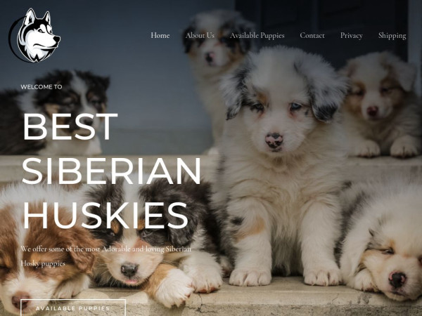 Bestsiberianhuskies.com - Husky Puppy Scam Review