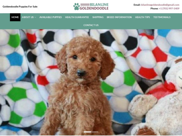 Bilanlinegoldendoodle.com - Golden Doodle Puppy Scam Review