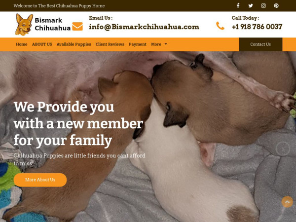 Bismarkchihuahua.com - Chihuahua Puppy Scam Review