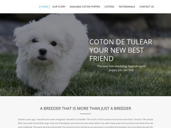 Blessedcotonshome.com - Coton De Tulear Puppy Scam Review