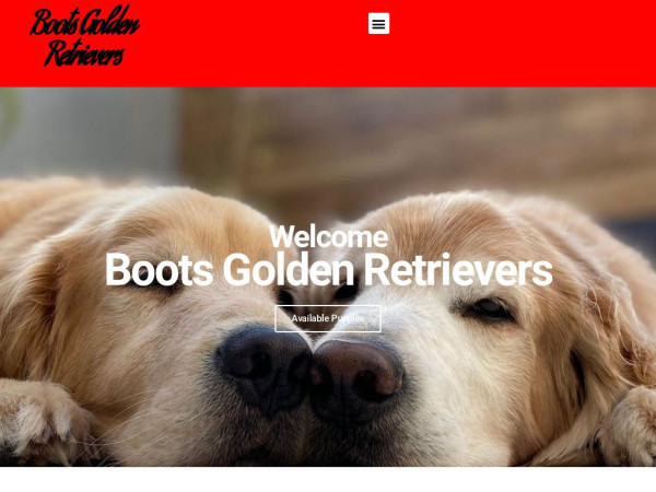 Bootsgoldenretreiverpups.com - Golden Retriever Puppy Scam Review