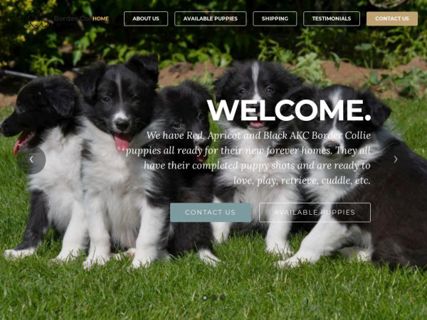 Bordercollieworld.com - Bordercollie Puppy Scam Review