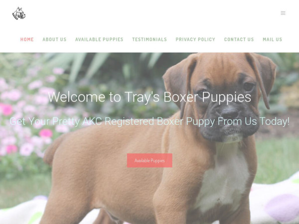 Boxer-puppy.com - Boxer Puppy Scam Review