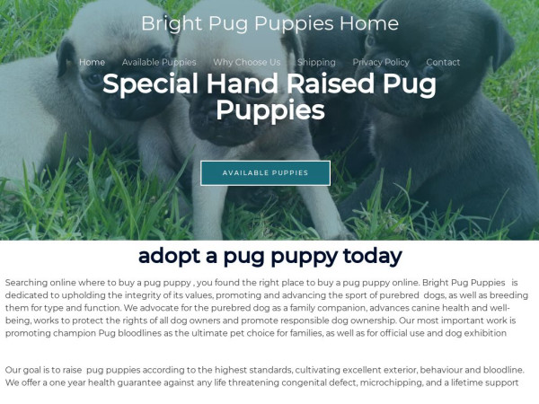 Brightpugpuppieshome.com - Pug Puppy Scam Review