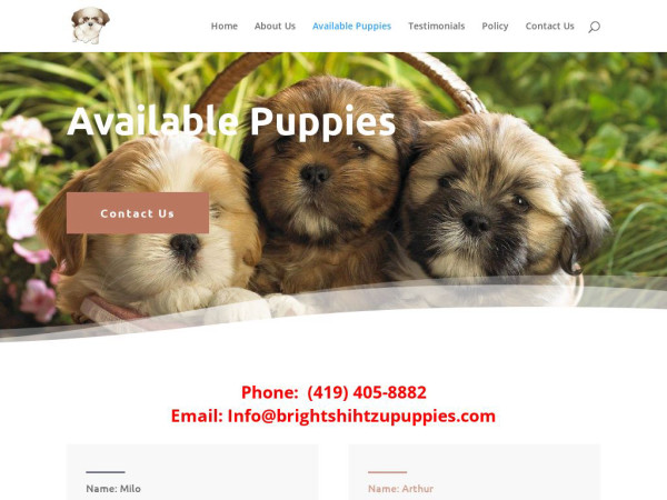 Brightshihtzupuppies.com - Shihtzu Puppy Scam Review