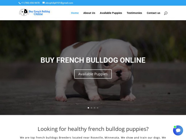 Buyfrenchbulldogonline.com - French Bulldog Puppy Scam Review