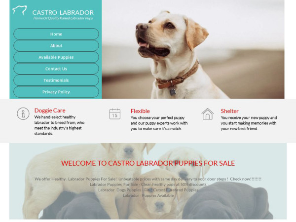 Castrolabradorpups.com - Labrador Puppy Scam Review