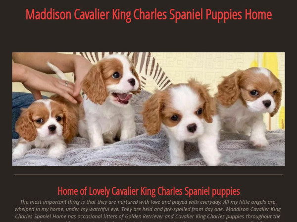 Cavalierkingcharlesnearme.com - Cavalier King Charles Spaniel Puppy Scam Review