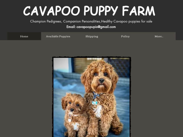 Cavapoopuppyfam.com - Cavapoo Puppy Scam Review