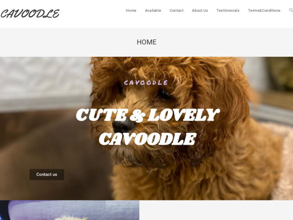 Cavoodleforme.com - Cavapoo Puppy Scam Review