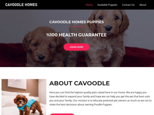 Cavoodlehomes.com - Cavapoo Puppy Scam Review