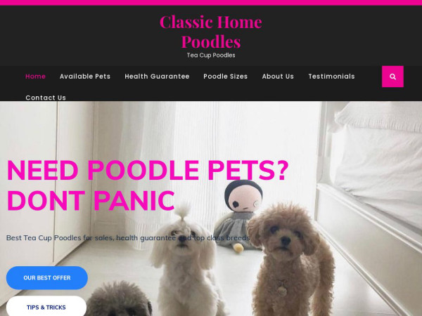 Classicalhomepoodles.com - Poodle Puppy Scam Review